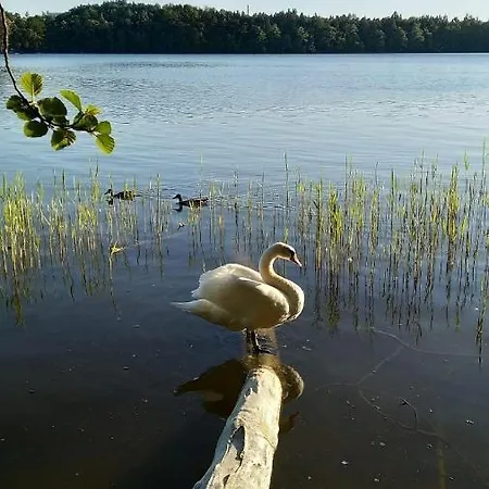 Dom Pod Bialym Pagajem Holiday home